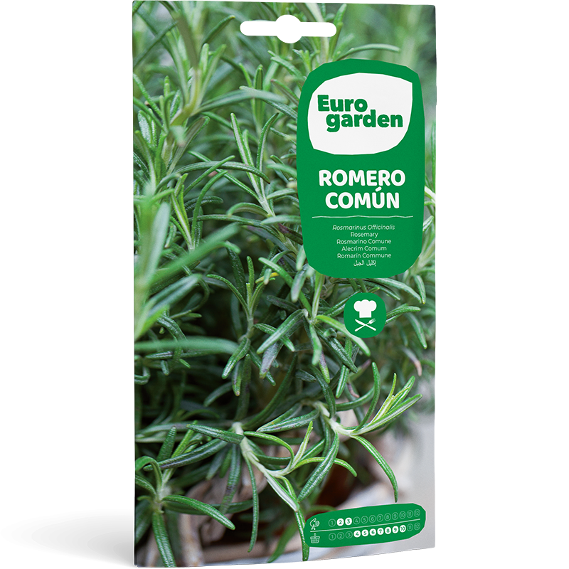 Semilla de Romero Común 0.2g EURO GARDEN