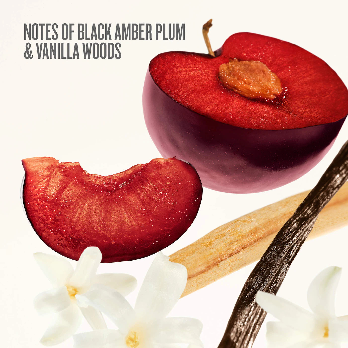 Sol de Janeiro Bom Dia Bright Party of Two Duo Sampler Set-media-58079