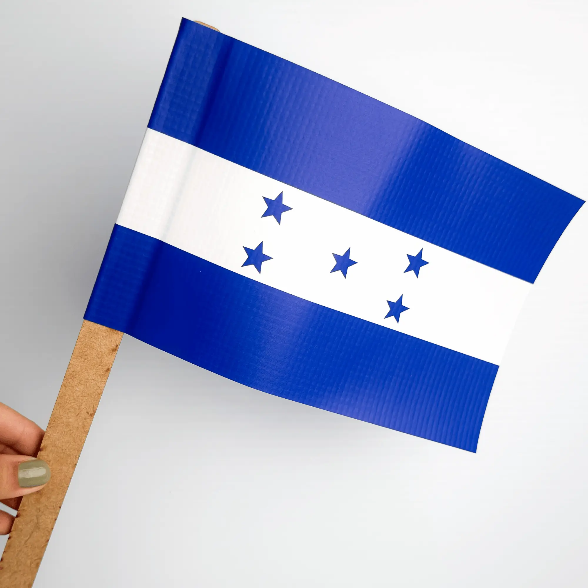 Banderín de Lona Personalizados en Tegucigalpa | PrintSpot