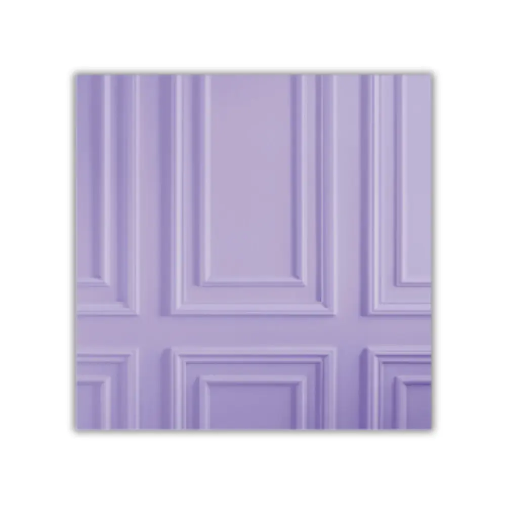 Fondo Rígido de Estudio - Pared con Molduras Lavanda / Lila