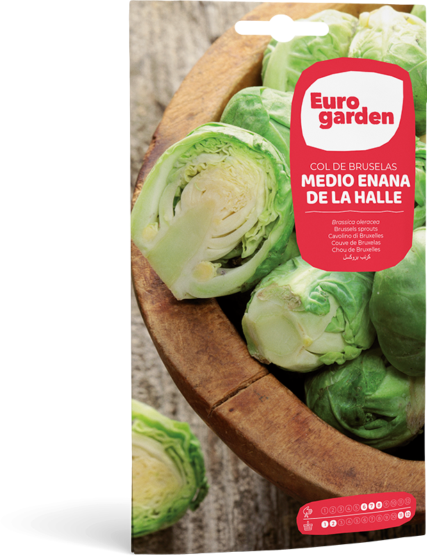 Semilla de Col de Bruselas 3g EURO GARDEN