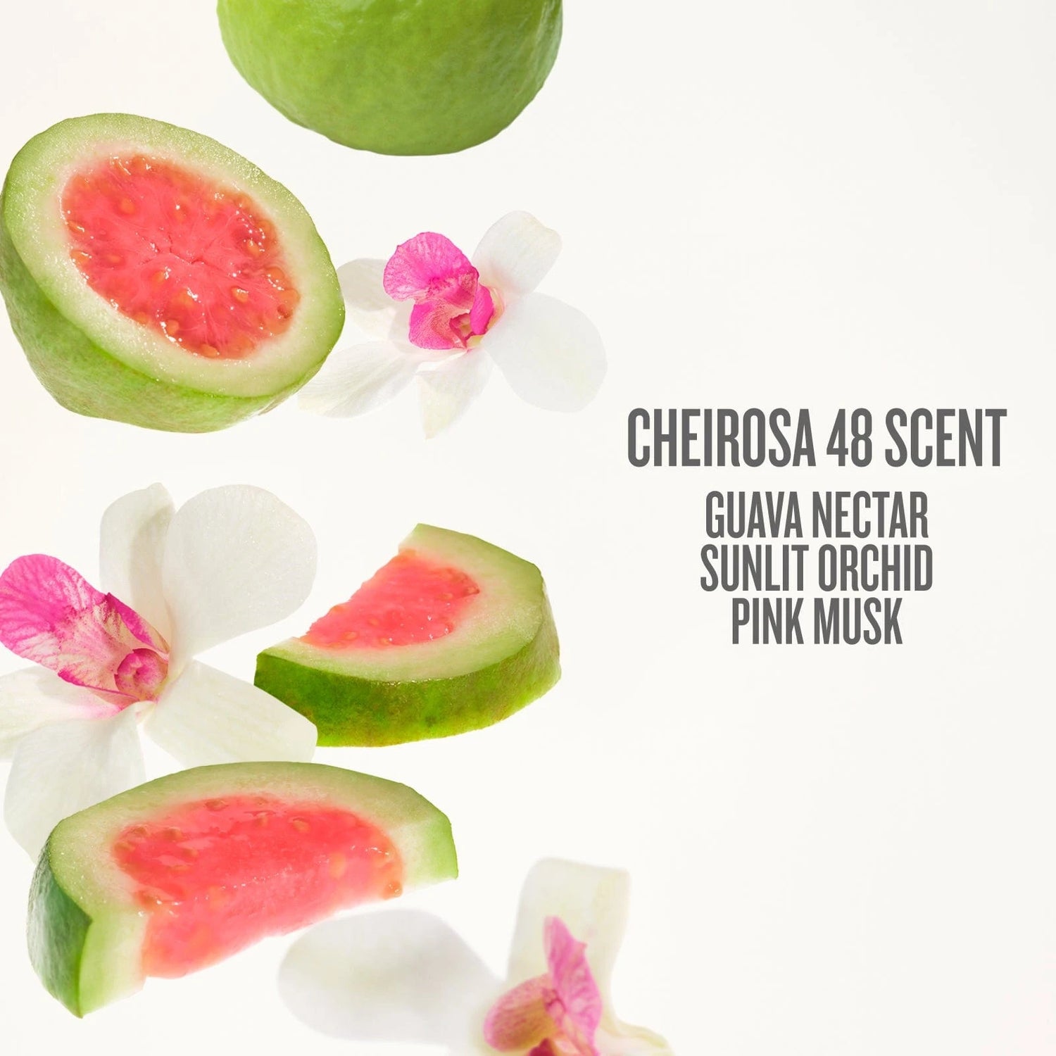 Sol de Janeiro Brazilian Crush Cheirosa 48’-media-54750