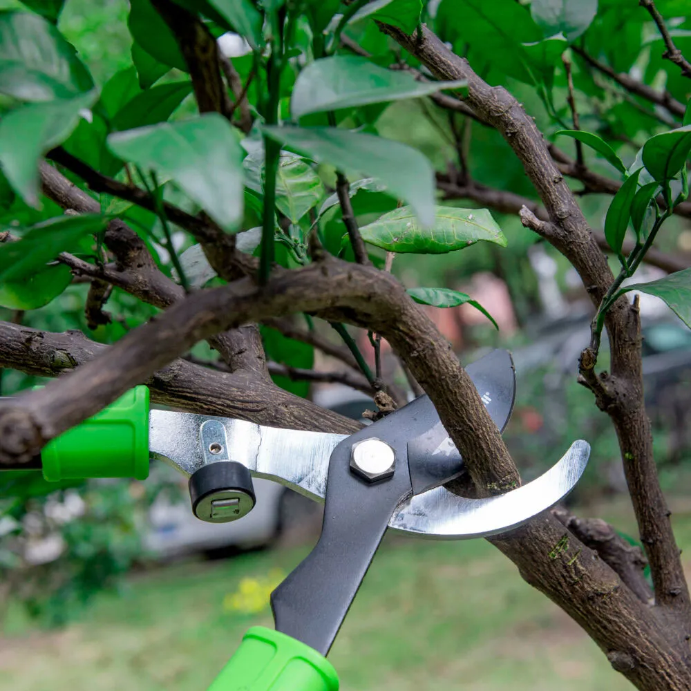 Set Para Podar 3 Piezas Para Yarda 609107-media-54143