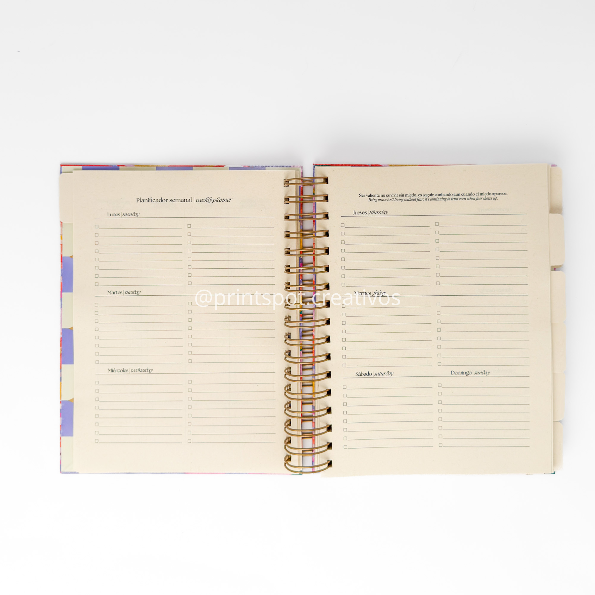 Kit Agenda Perpetua 2026 | Cow Print | Vol. 5-media-56930