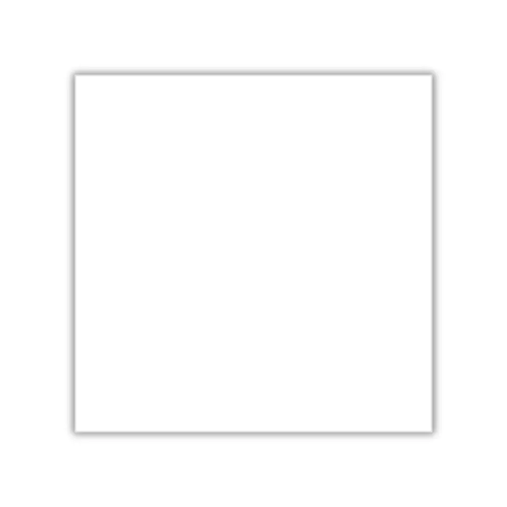 Fondo Rígido Minimalista para Fotos - Blanco Absoluto Neutro